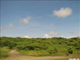 Playa Tamarindo Guánica - GUÁNICA